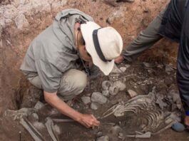 Descubrimiento Arqueológico en Cajamarca: La Tumba del Sacerdote de 3,000 Años