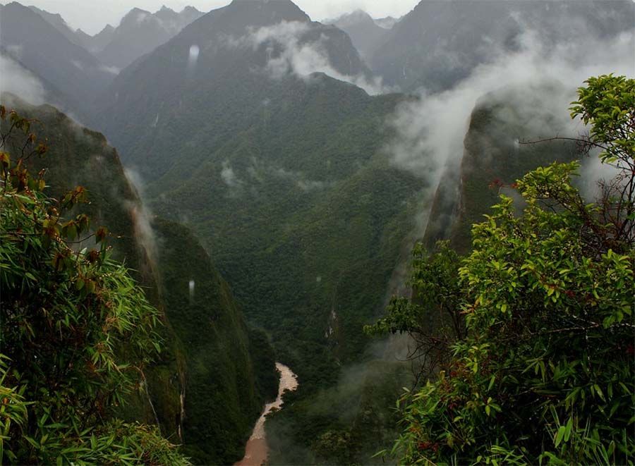 "bosque nuboso" del Valle Sagrado